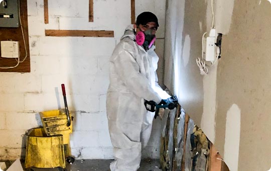 Mold Remediation Process in Brooklyn