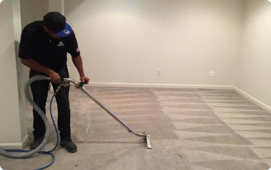 Carpet Stain Removal in Brooklyn
