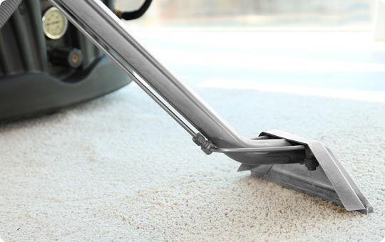 Deep Steam Carpet Cleaning in Brooklyn